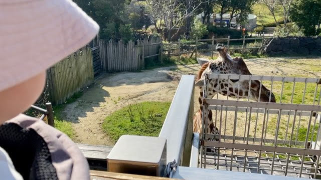 【到津の森公園】動物園＆遊園地あり◎赤ちゃんからOK！子連れで楽しむポイント紹介（福岡県北九州市小倉北区）