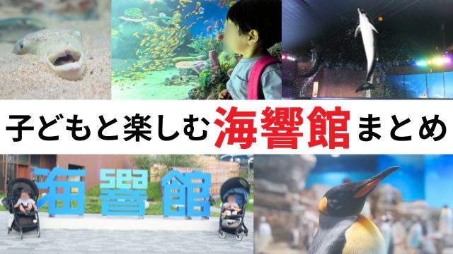 【子連れ必見】海響館の料金・アクセス・見どころを徹底紹介｜下関観光の定番スポット